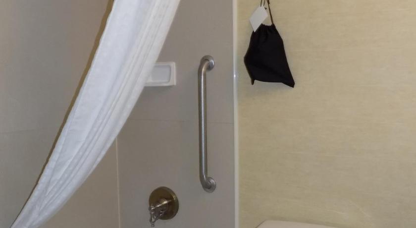 Best Western Plus Portage Hotel and Suites