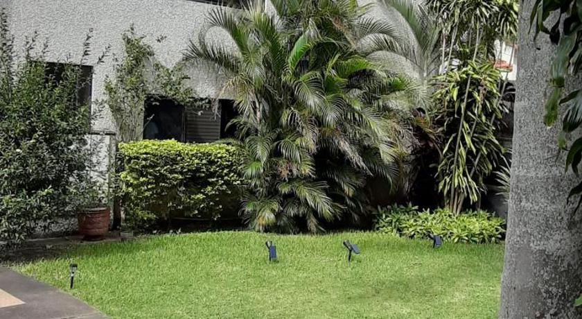 Las Palmeras photo
