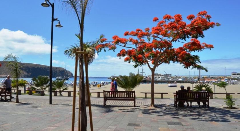 EMMA - Los Cristianos photo