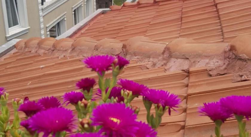 Blue Mosque Suites - image 11