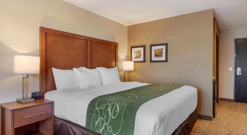 Comfort Inn & Suites Schenectady -Scotia