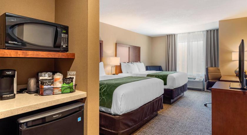 Comfort Inn & Suites Schenectady -Scotia