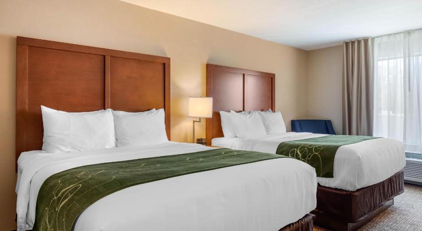 Comfort Inn & Suites Schenectady -Scotia