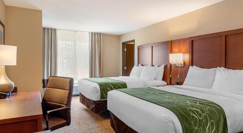 Comfort Inn & Suites Schenectady -Scotia