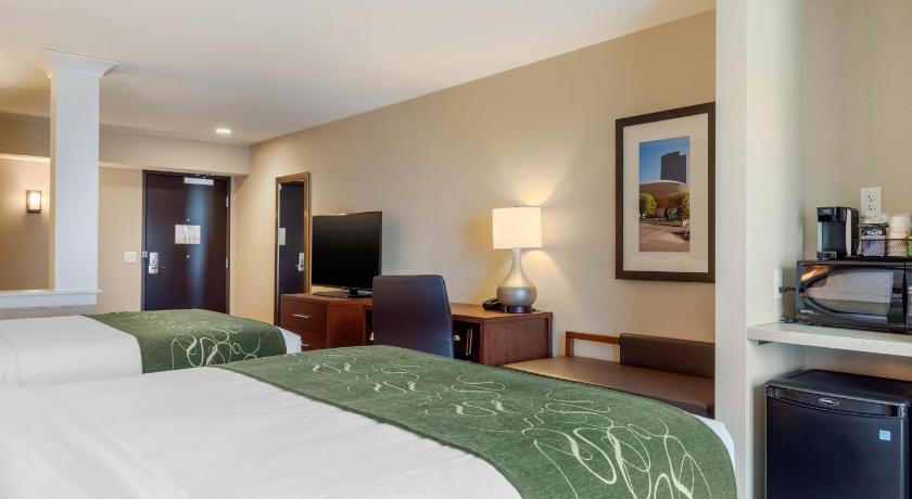 Comfort Inn & Suites Schenectady -Scotia