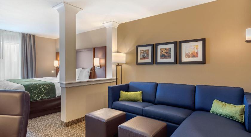 Comfort Inn & Suites Schenectady -Scotia