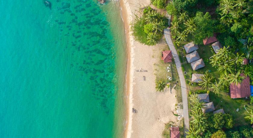 a beach with palm trees and palm trees, 1511 Coconut Grove in Tioman Island