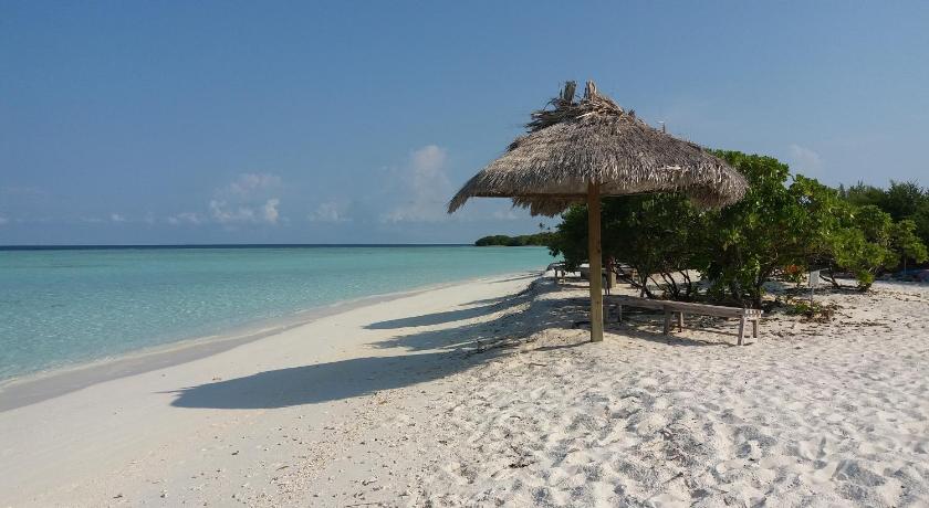 Rasrana Lodge - image 12