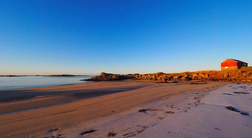 Midnight Sun View Lofoten photo