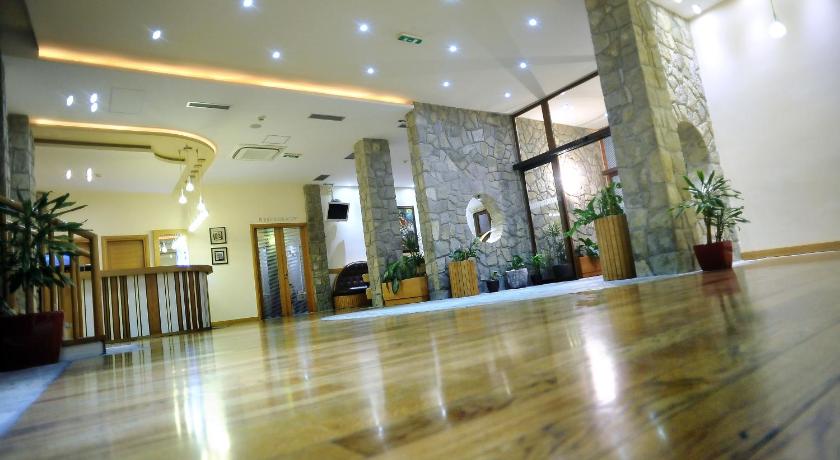 Lobby, Hotel Aria in Podgorica