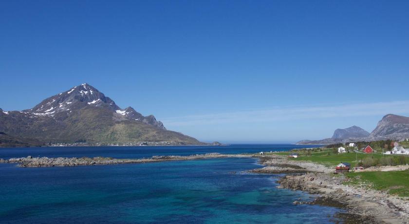 Midnight Sun View Lofoten photo
