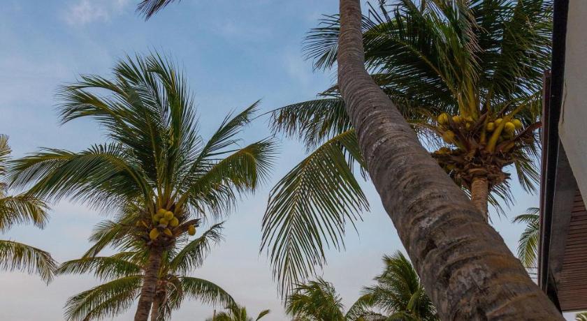 Lotus Beach Hotel - Adults Only photo