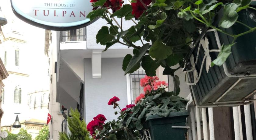 The House of Tulpan photo