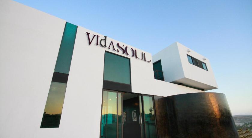 Vidasoul