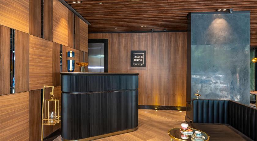 Opale Hotel - image 13