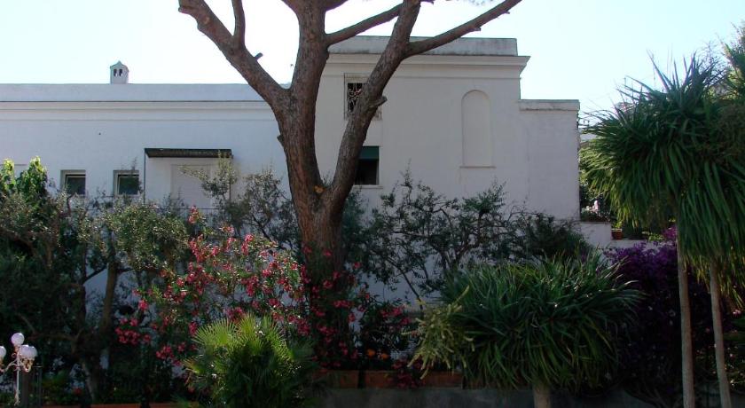 Hotel Canasta photo