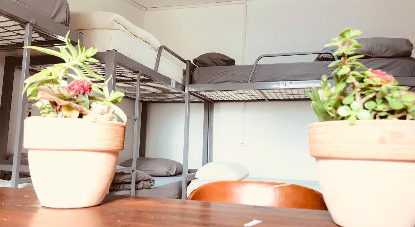 Image of Bed in 8-Bed Mixed Dormitory Room 1