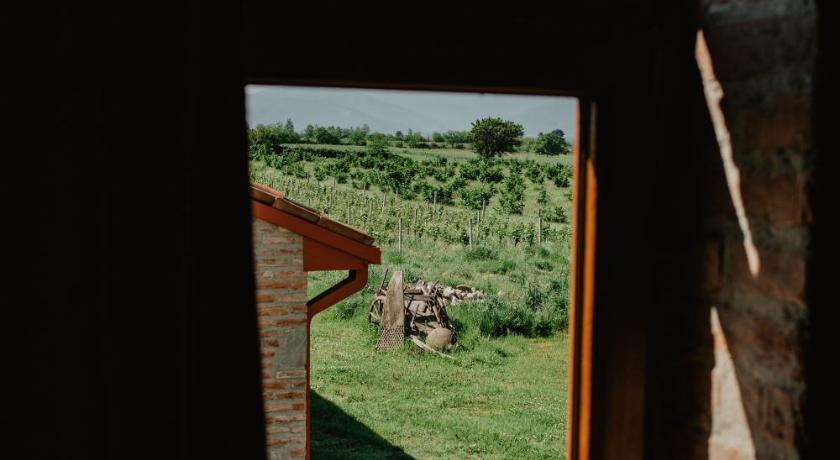 Mestvireni photo