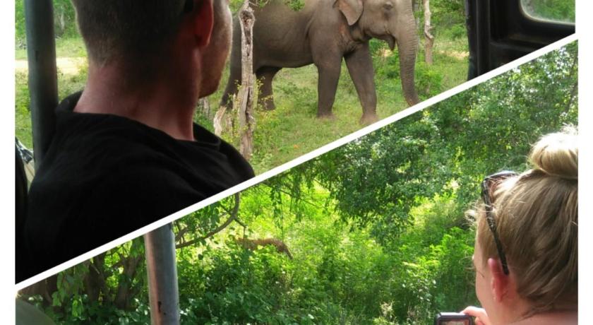 Nehansa Resort and safari photo