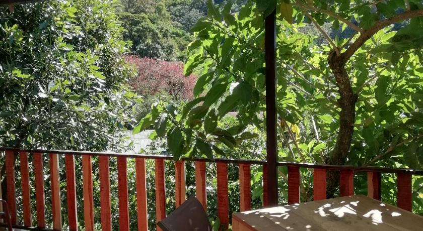 La Guayaba Monteverde photo