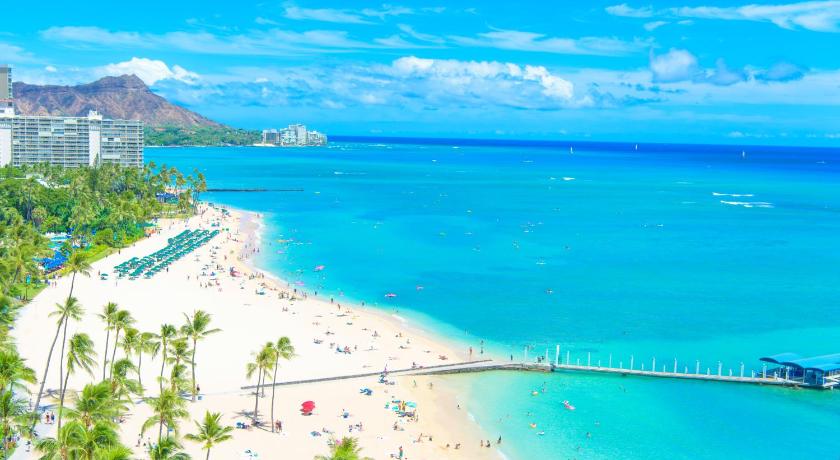 Waikiki Condo High Floor Views Beaches Convention Center