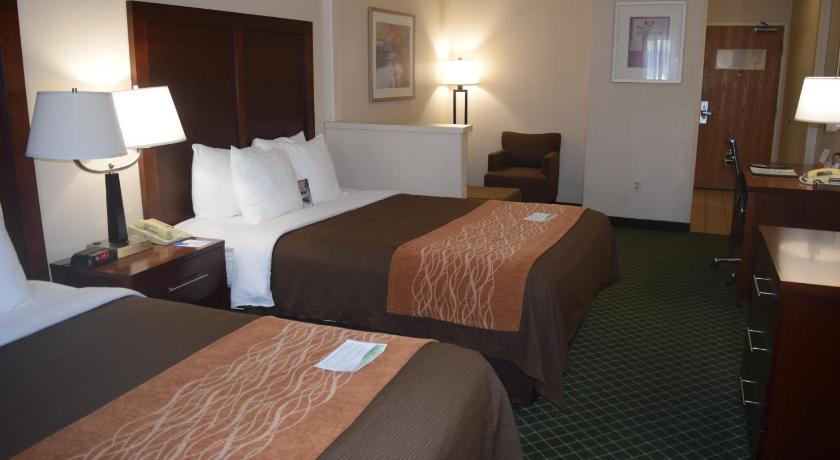 Comfort Inn Suites In San Francisco Ca Room Deals Photos
