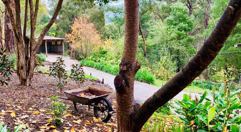 Emerald Star Cottages photo