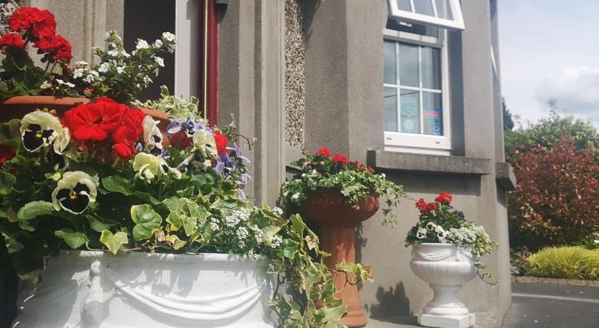 Shannonside House B&B N37HF67 photo