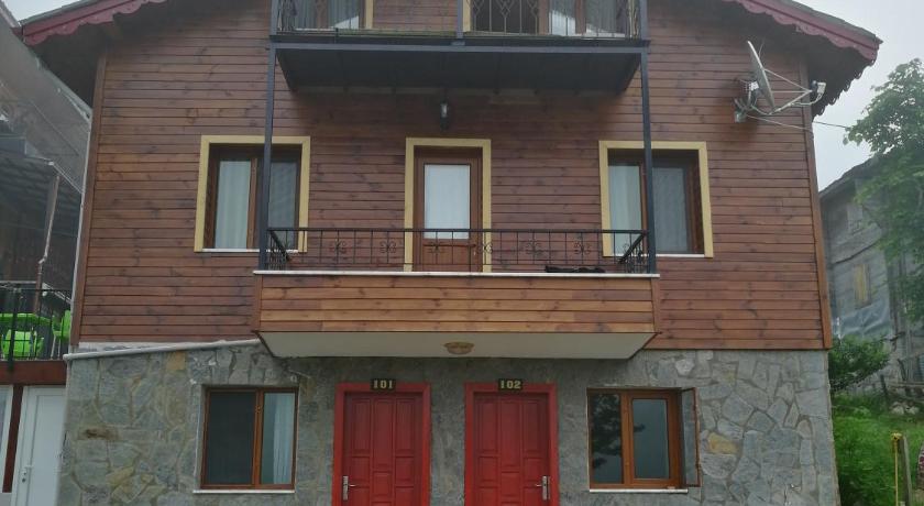 Ayder Palas Apart Hotel — Hotel in Rize