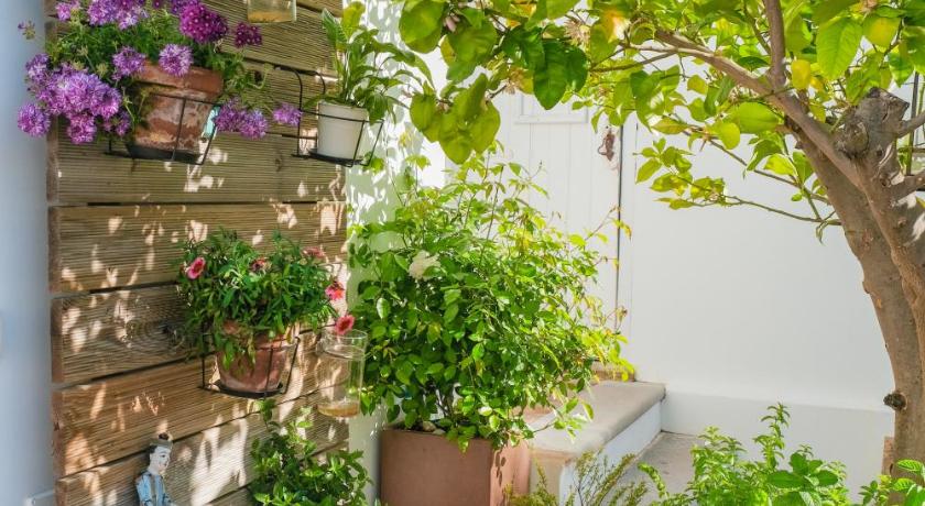 Sao Paulo Boutique Hotel - SPBH — Hotel in Tavira