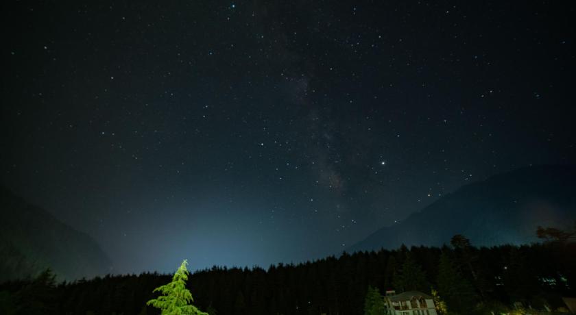 Alt Life Hostels - Manali photo