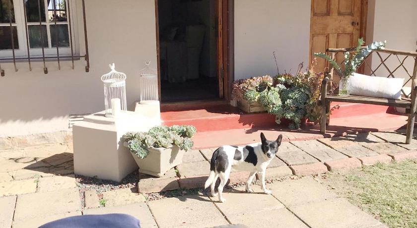 Erin Guesthouse and B&B photo