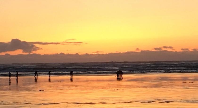 The Lowtide Motel photo