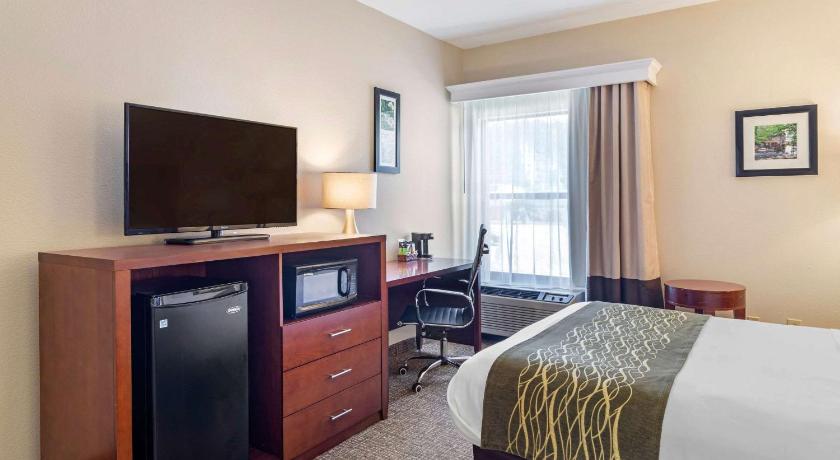 Comfort Inn Douglasville