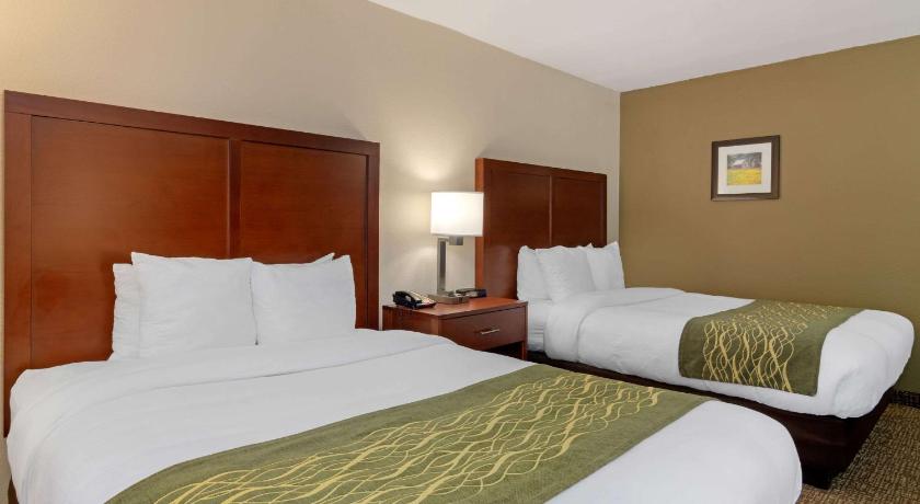 Comfort Inn Douglasville