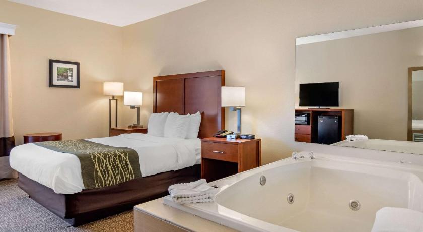 Comfort Inn Douglasville