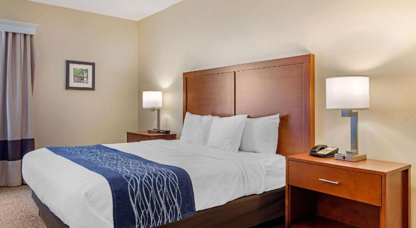 Comfort Inn Douglasville