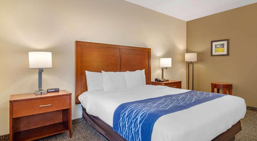 Comfort Inn Douglasville