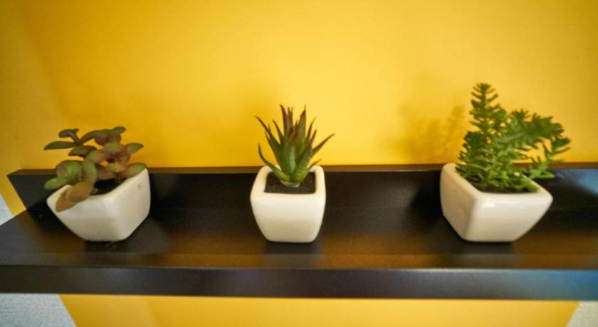 Tokyo RHK guest house 1-Star Single Room exterior