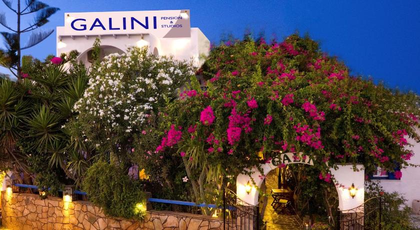 Galini Pension photo