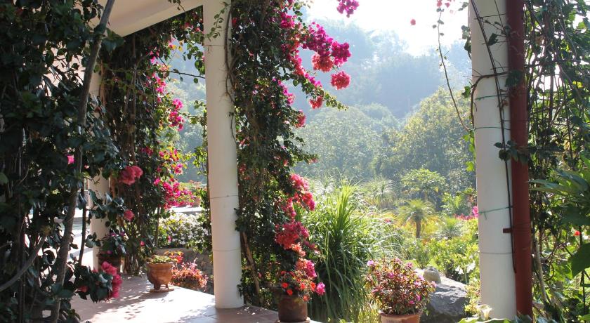 サンタ・クルス・ラ・ラグーナ Casa Valdres 4つ星 シングルルーム スイート