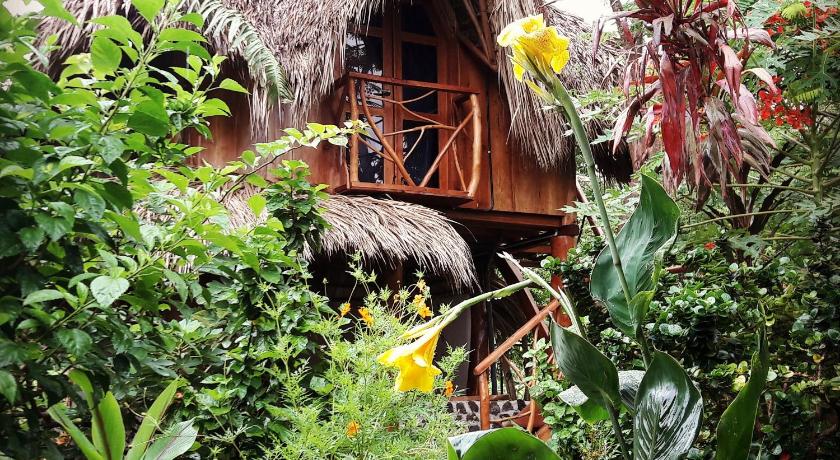 La Urraca Loca Hostel photo