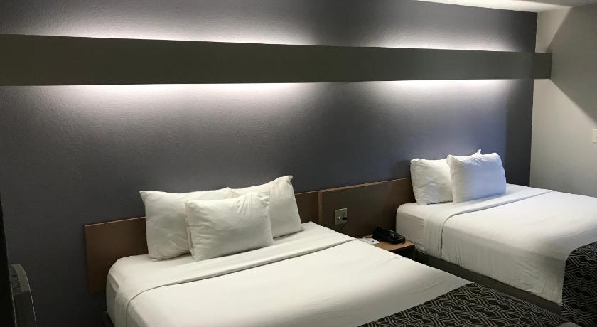 Microtel Inn & Suites by Wyndham BWI Airport Baltimore