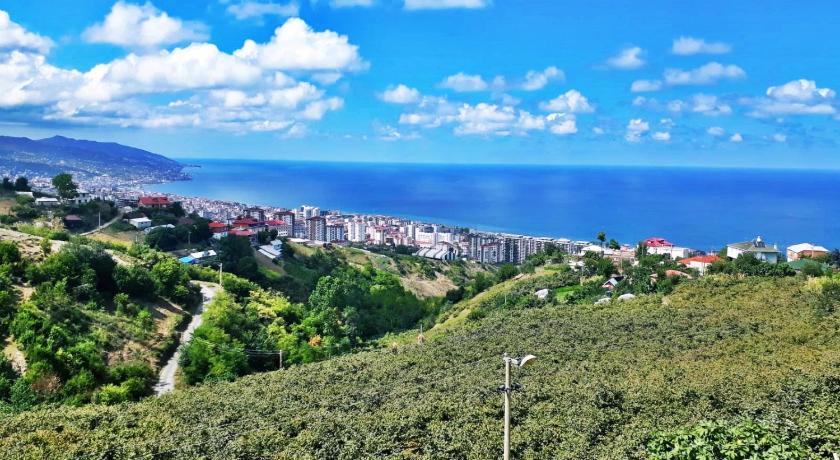 Paradise Villa Trabzon — Hotel in Trabzon