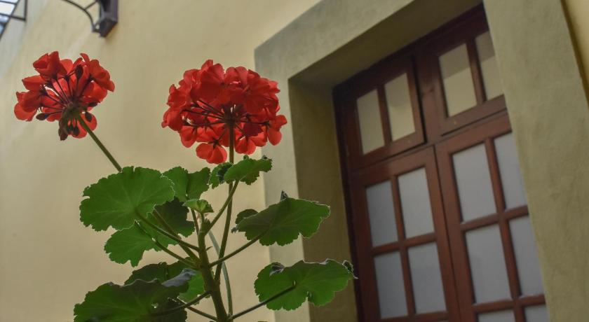 Casa Hotel Aroma 406 photo