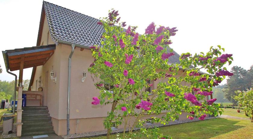 Ferienwohnungen am Wald _ Torgelow — Hotel in Greifswald