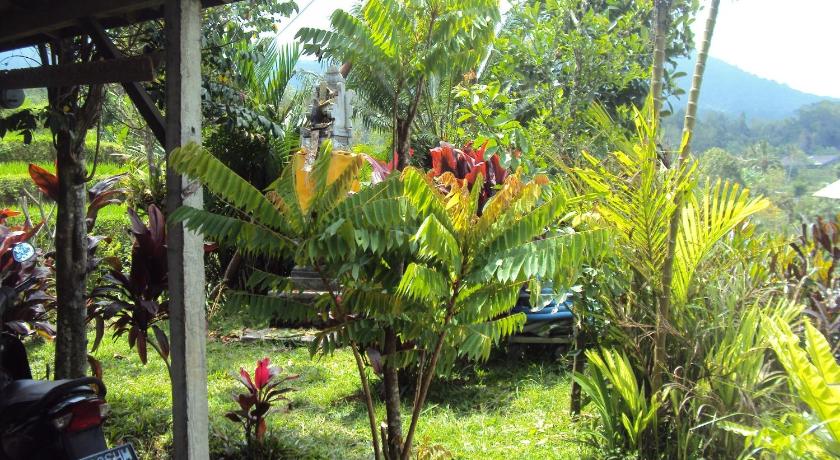 Teras Subak Jatiluwih photo