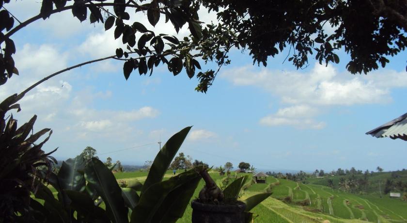 Teras Subak Jatiluwih photo