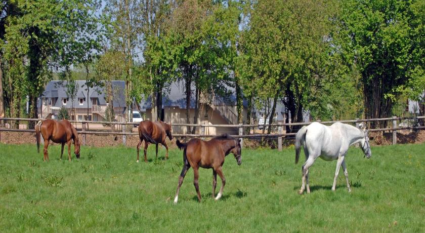 Les Manoirs de Tourgeville