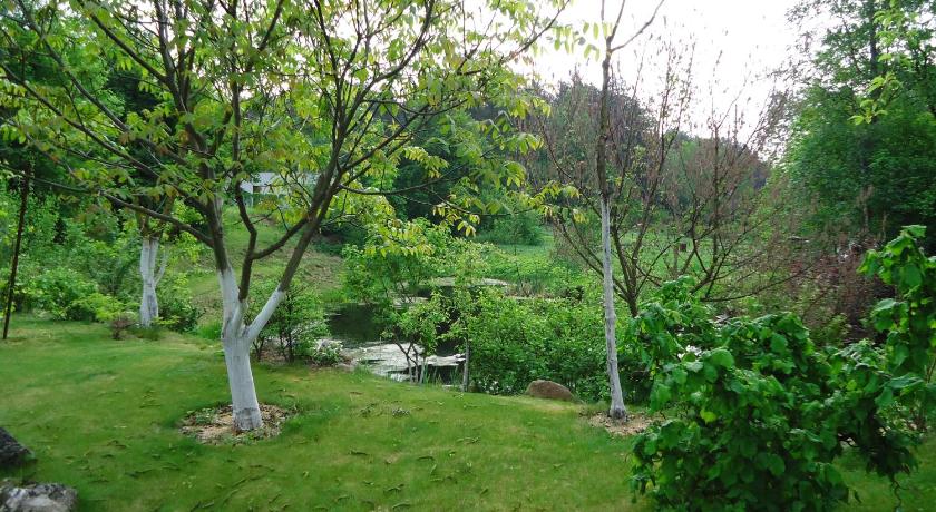 Homestay Roja photo